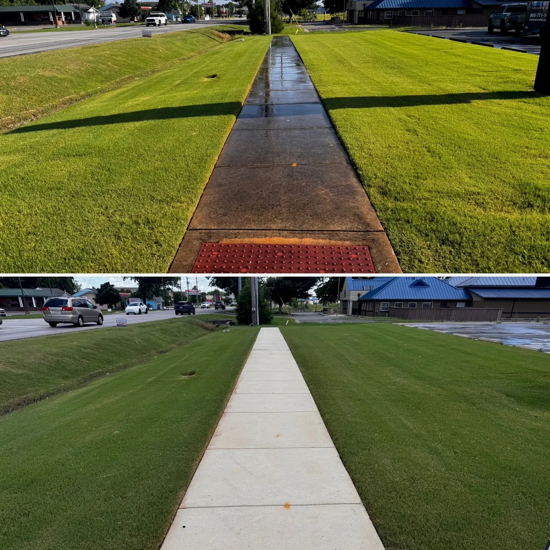 Concrete sidewalk before and after cleaning
