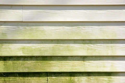 Illustration of green algae across horizontal house siding