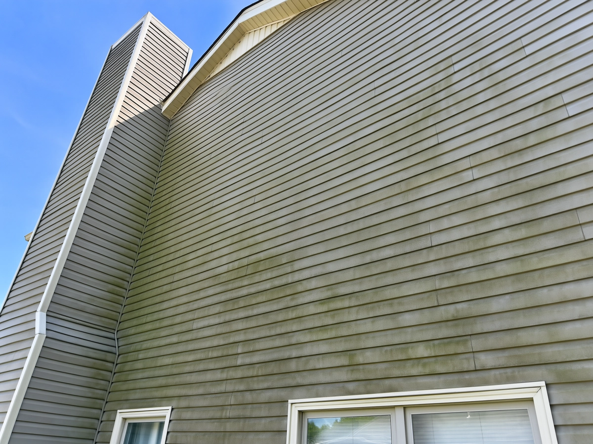 Light gray house siding with diffuse green organic film beneath white roof trim
