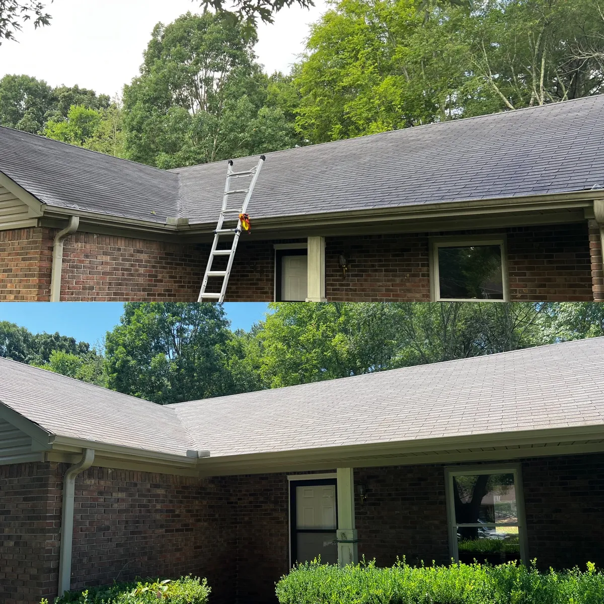 Low-slope asphalt shingle roof before and after treatment