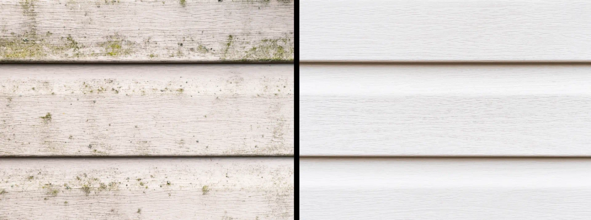 Illustrative split view of pale horizontal siding with green surface buildup on the left and a cleaner appearance on the right