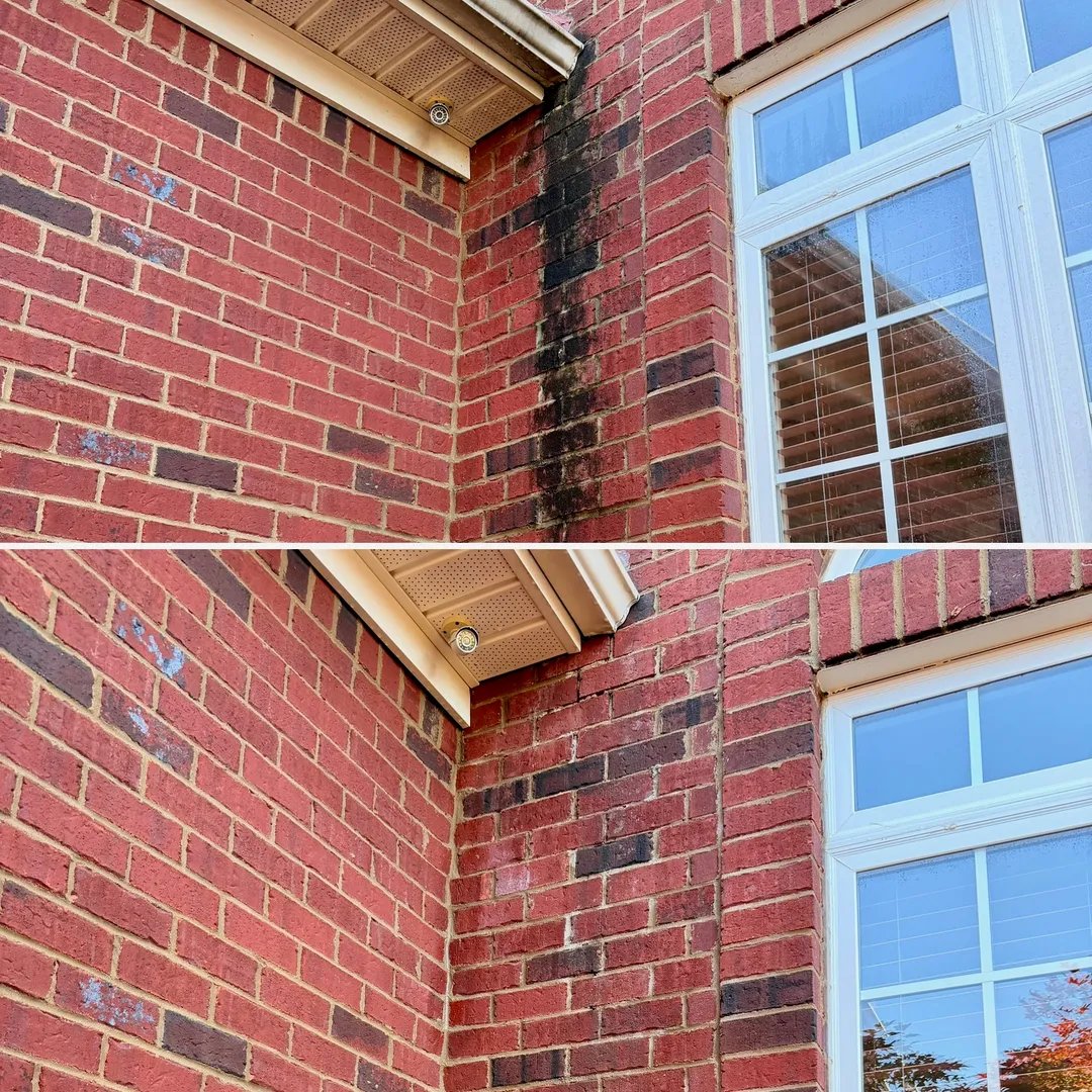 Brick wall corner before and after organic-growth removal