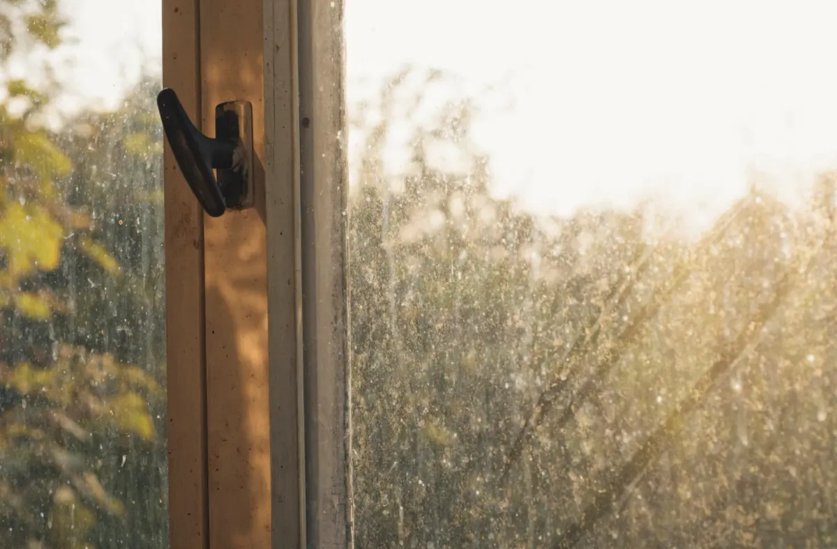 Sunlight revealing dirt on window glass beside a dark handle and pale frame